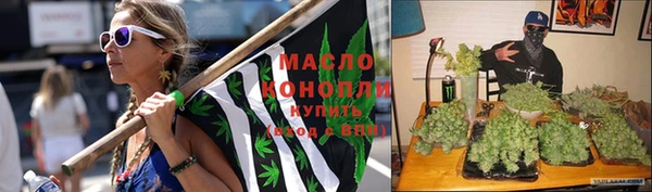 крисы Алзамай