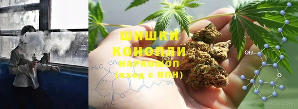 крисы Алзамай