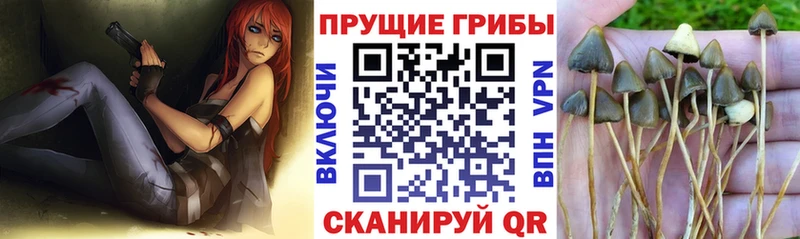 Псилоцибиновые грибы Magic Shrooms  Чаплыгин 